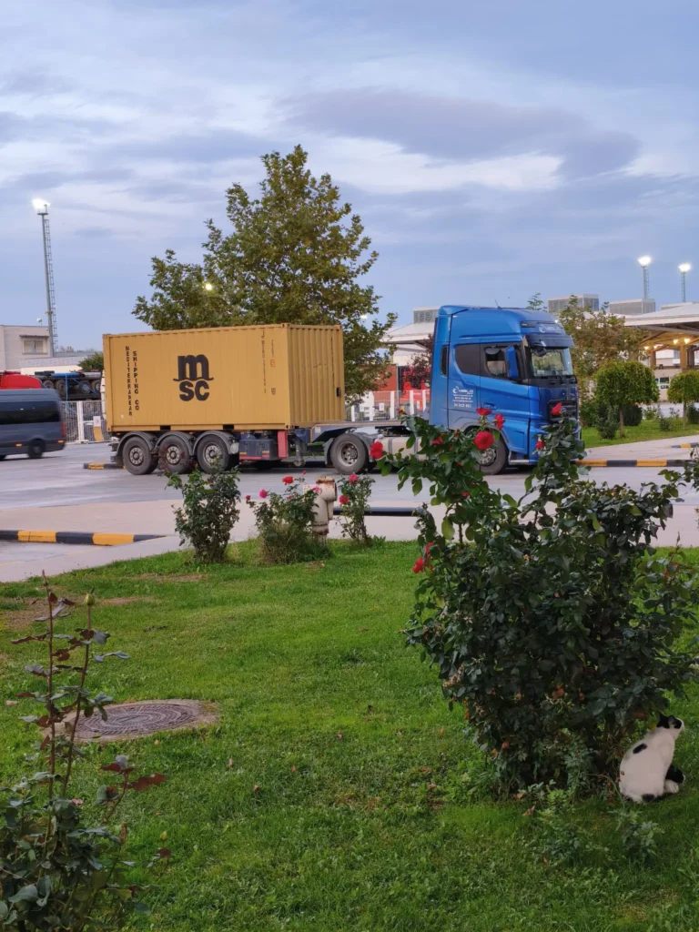 Meglio Ambarlı iç nakliye aracı